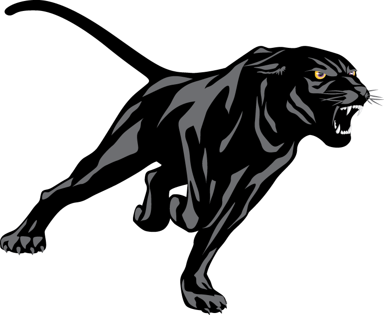 Prairie View A&M Panthers 2011-Pres Partial Logo diy iron on heat transfer